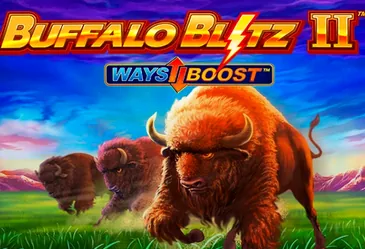 Buffalo Blitz 2